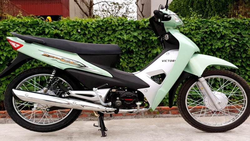 Giá Xe Wave Alpha 50cc: Cập Nhật Mới Nhất Và Chi Tiết