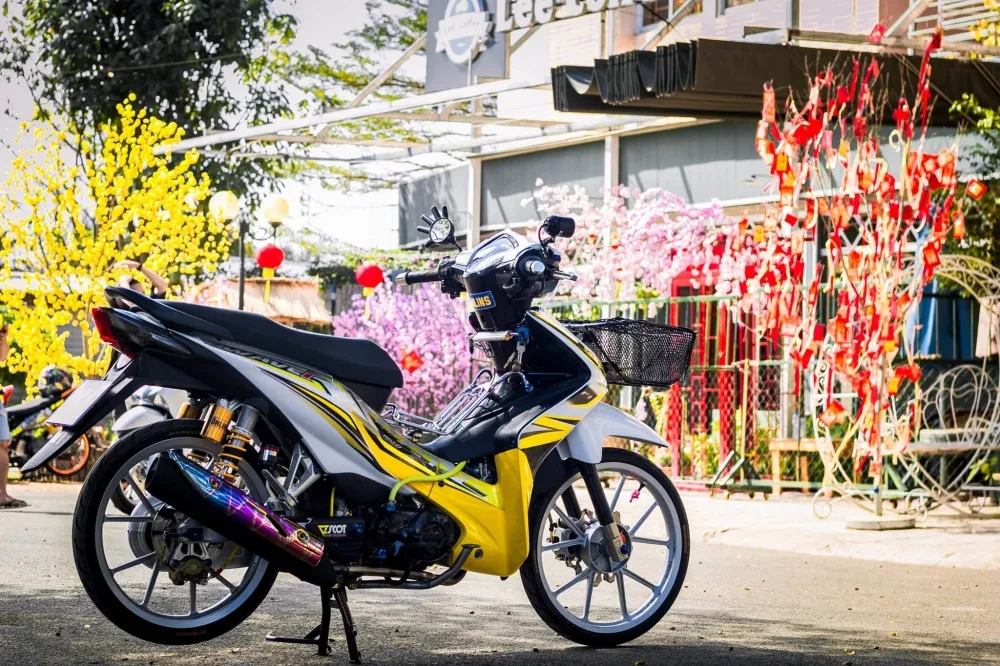 Tổng thể mẫu Wave Alpha độ kiểng chuyên nghiệp