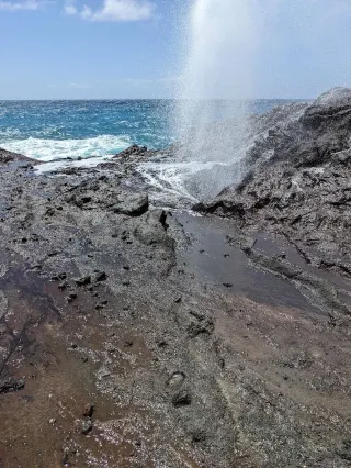 Hướng Dẫn Toàn Diện Về Cấu Tạo, Lựa Chọn Và Thay Thế Yên Xe Wave Chính Hãng 5 Hướng Dẫn Toàn Diện Về Cấu Tạo, Lựa Chọn Và Thay Thế Yên Xe Wave Chính Hãng