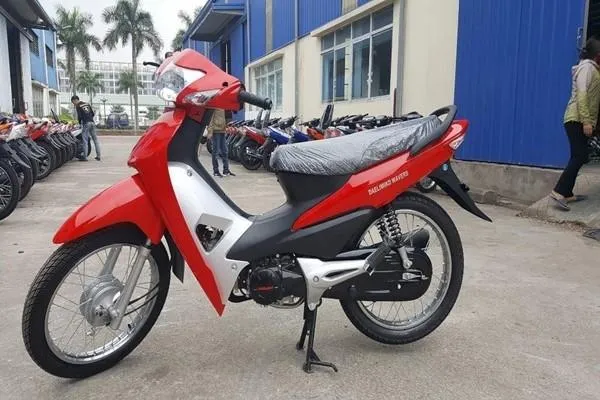 Hai chiếc xe máy 50cc đời mới được trưng bày, cho thấy sự đa dạng về màu sắc và kiểu dáng trong phân khúc xe máy cho học sinh