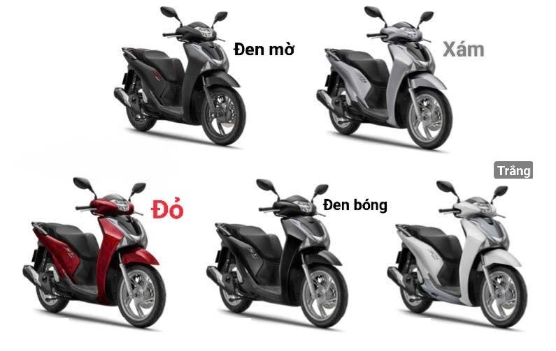Dàn Áo Xe Wave S Chính Hãng: Hướng Dẫn Toàn Diện Từ Lựa Chọn Đến Lắp Đặt