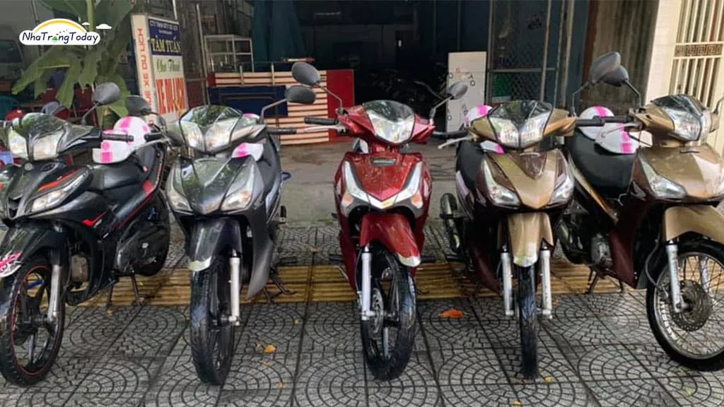 Cho thuê xe máy Song Đạt - Tư vấn du lịch và xe bền bỉ ở Nha Trang
