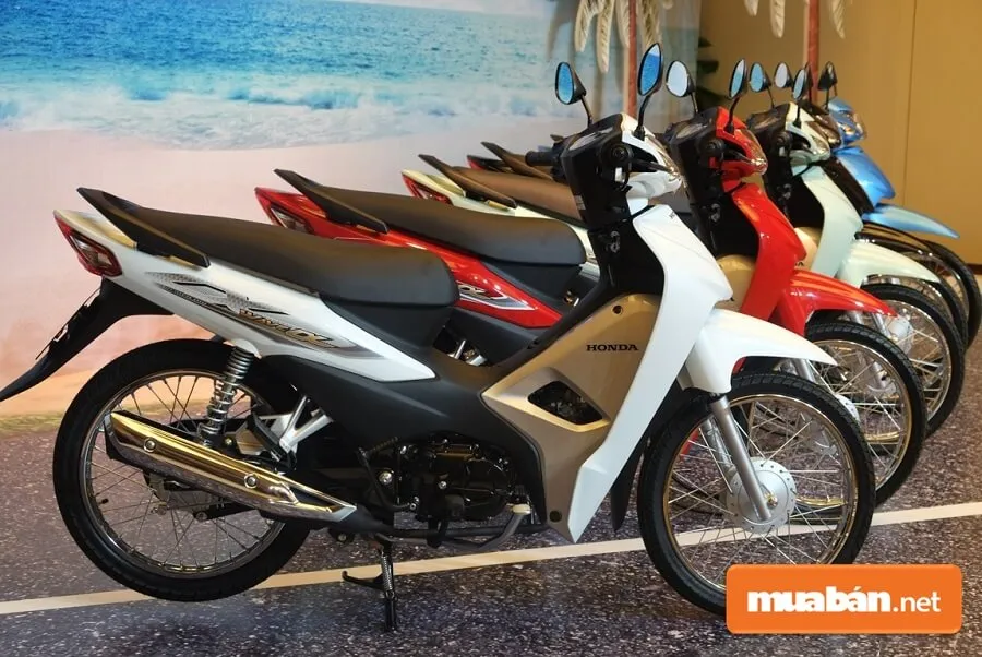Hình ảnh minh họa một chiếc Honda Wave Alpha đã qua sử dụng có thể gặp các lỗi nhỏ về nồi hoặc hệ thống số