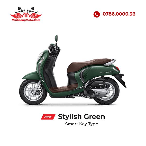 Đánh Giá Toàn Diện Xe Wave Alpha 2010: Giá Trị Thực, Thông Số Kỹ Thuật Và Kinh Nghiệm Bảo Trì