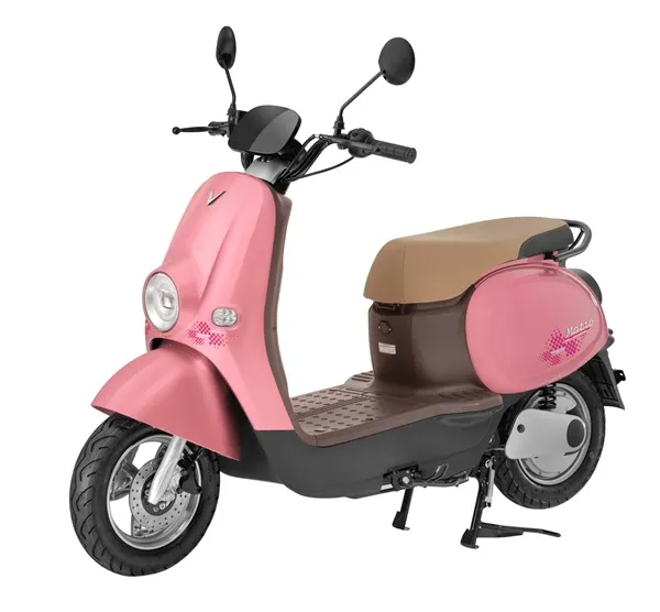 Hình ảnh chi tiết pin ắc quy chì axit kín khí của xe máy điện VinFast Motio