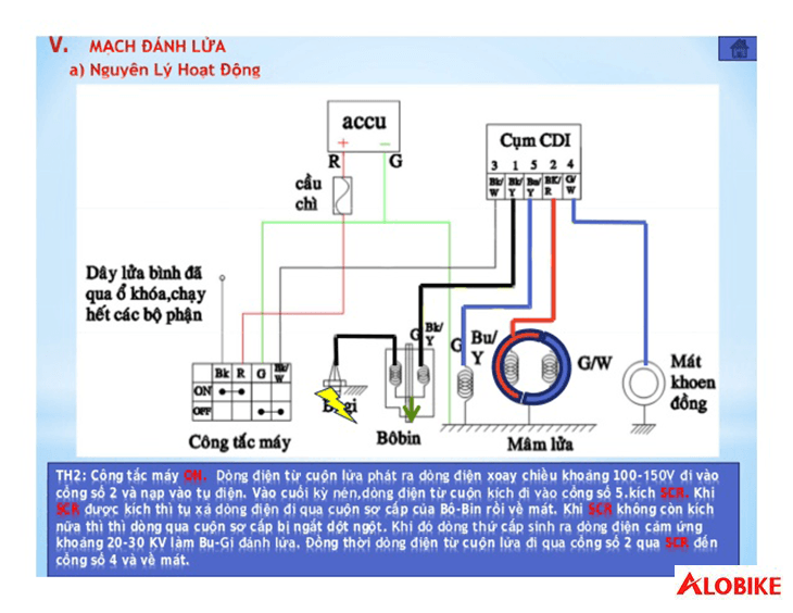 Sơ Đồ Mạch Điện Xe Wave: Phân Tích Chuyên Sâu Cấu Trúc Và Nguyên Lý Hoạt Động