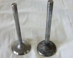 Cấu tạo cơ bản của sú páp (van nạp, van xả) trong động cơ xe máy, linh kiện quan trọng ảnh hưởng đến hiệu suất của xe wave alpha 2007.