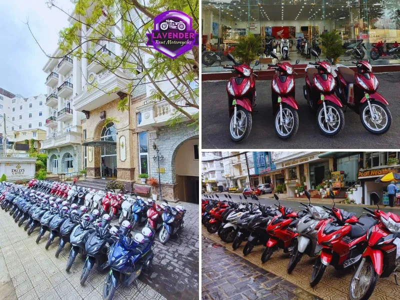 Các mẫu xe máy đời mới tại cửa hàng Lavender, địa điểm cho thuê xe uy tín tại trung tâm Đà Lạt.