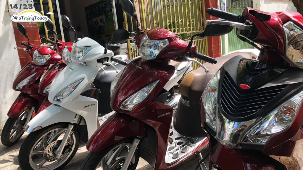 Dòng xe mới tại dịch vụ thuê xe máy Tuấn Cường - Không biến động giá vào lễ Tết