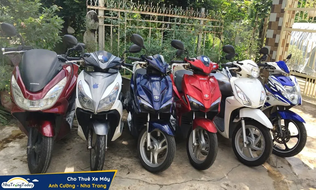 Thủ tục thuê xe máy Anh Cường Nha Trang - Bảng giá chi tiết các dòng xe tay ga