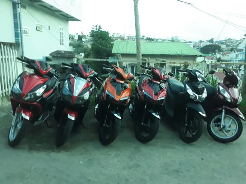 Toàn cảnh dịch vụ cho thuê xe máy chất lượng cao tại Đà Lạt.