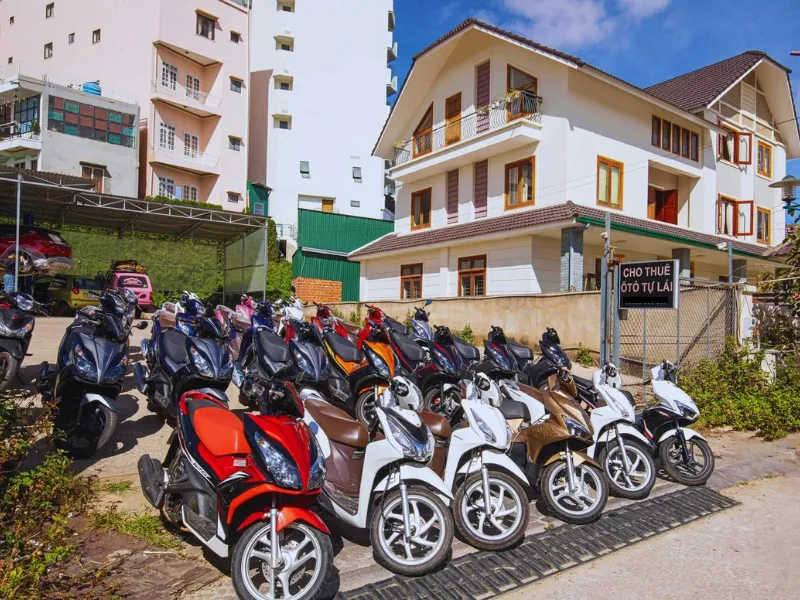 Xe máy số và tay ga chất lượng tại Thảo Vy, đơn vị nổi tiếng với giá thuê xe máy ở Đà Lạt phải chăng.