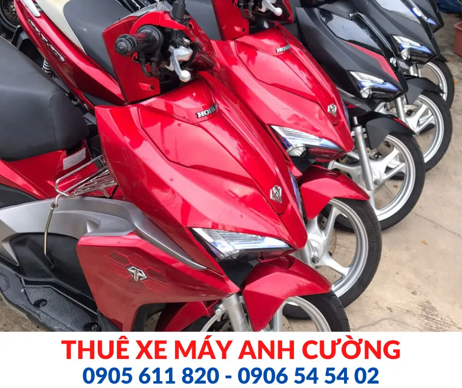 Đánh giá chất lượng các loại xe ga và xe số khi tìm nơi thuê xe máy giá rẻ ở Nha Trang.