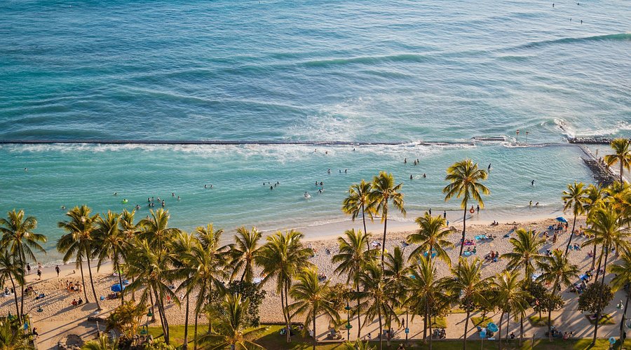 Giá Bộ Nhựa Xe Wave Chi Tiết: Bảng Giá, Phân Tích Chất Liệu, Và Hướng Dẫn Lựa Chọn Chính Hãng