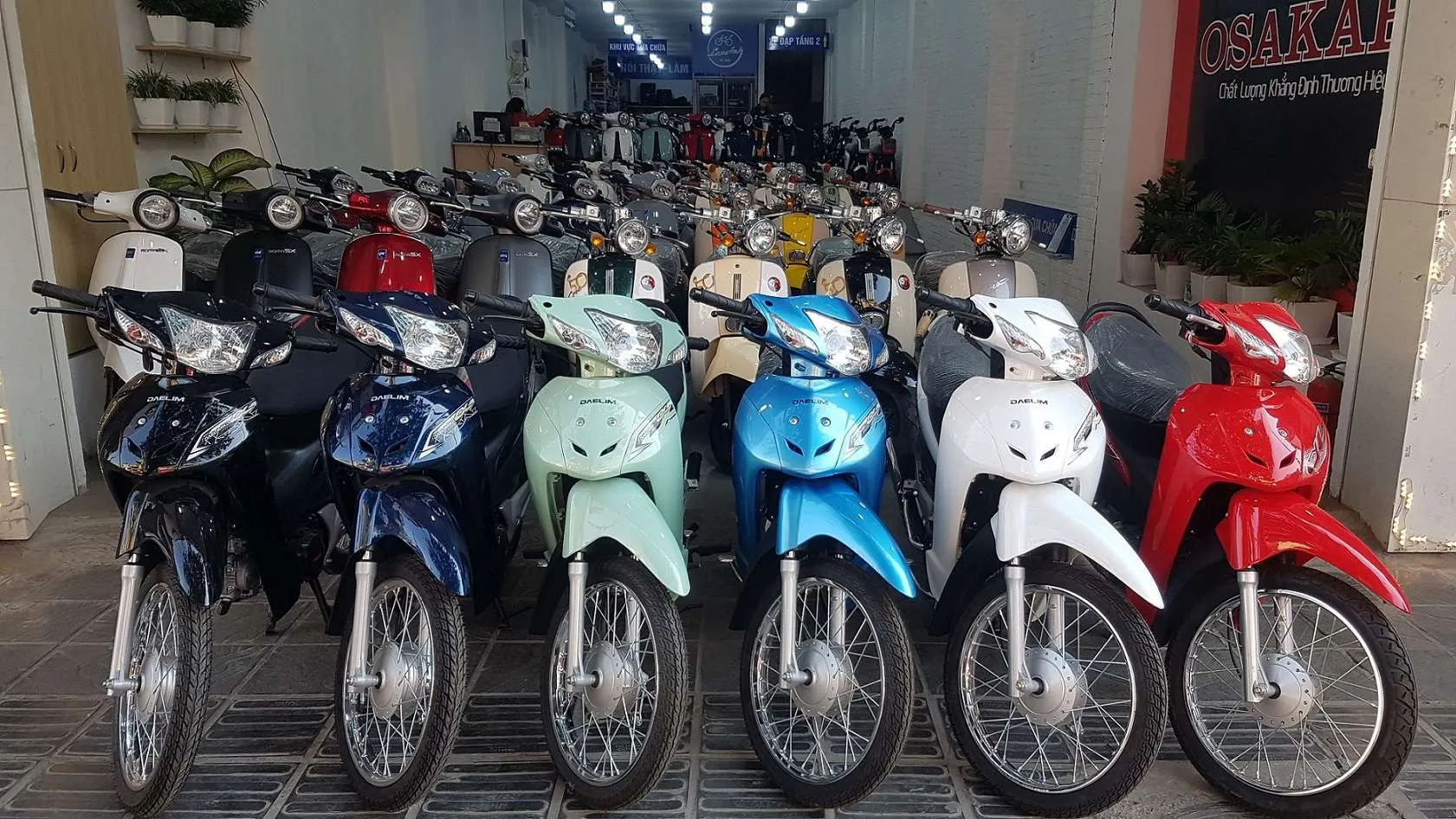 wave 50cc so sanh gia va chinh sach giua cac dai ly - Danh gia rui ro va loi ich khi mua xe wave 50cc tra gop