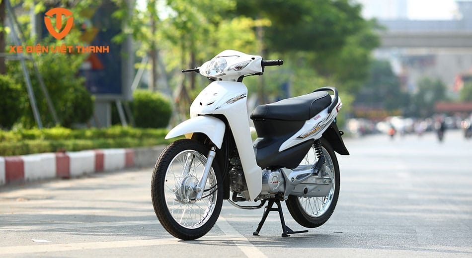 Xe Wave 50cc Hàn Quốc: Đánh Giá Toàn Diện Về Chất Lượng, Hiệu Suất Và Kinh Nghiệm Mua Sắm