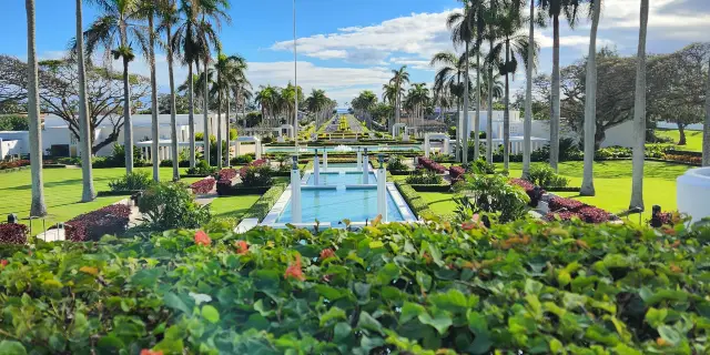 Hướng Dẫn Toàn Diện Về Lựa Chọn, Sử Dụng Và Bảo Dưỡng Vỏ Xe Wave