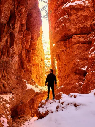 Hướng Dẫn Toàn Diện Khi Mua Xe Wave S: Phân Tích Chuyên Sâu Các Phiên Bản Và Giá Trị Lâu Dài 4 Hướng Dẫn Toàn Diện Khi Mua Xe Wave S: Phân Tích Chuyên Sâu Các Phiên Bản Và Giá Trị Lâu Dài