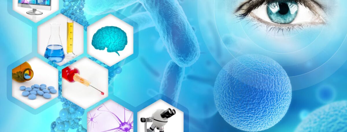 Phân Tích Chuyên Sâu Ty Giảm Xóc Sau Xe Wave 110: Cấu Tạo, Bảo Trì Và Thay Thế Chính Xác