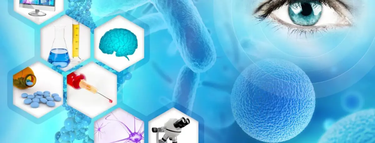 Phân Tích Chuyên Sâu Ty Giảm Xóc Sau Xe Wave 110: Cấu Tạo, Bảo Trì Và Thay Thế Chính Xác 3 Phân Tích Chuyên Sâu Ty Giảm Xóc Sau Xe Wave 110: Cấu Tạo, Bảo Trì Và Thay Thế Chính Xác