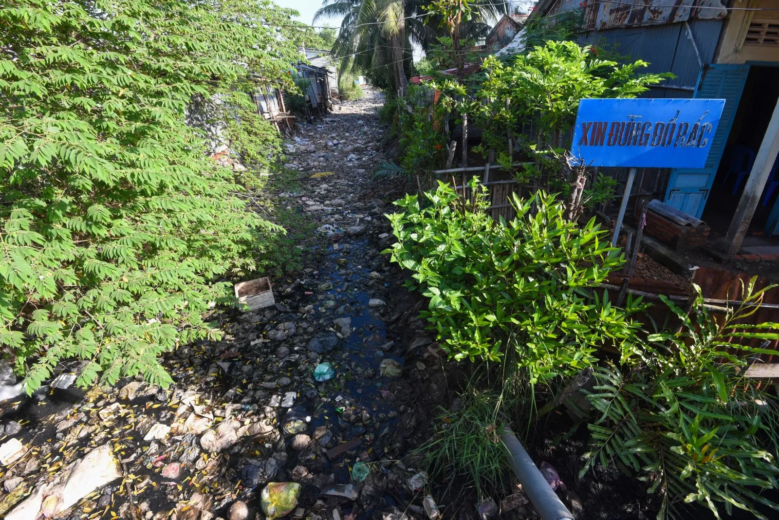 hình ảnh rác thải lấp đầy con kênh ở trung tâm huyện Bình Đại, Bến Tre