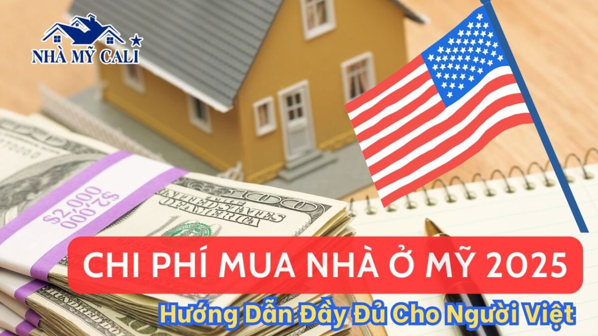 Hướng Dẫn Chi Tiết A-Z Để Thuê Xe Máy Ở Vũng Tàu Giá Rẻ Và An Toàn Nhất