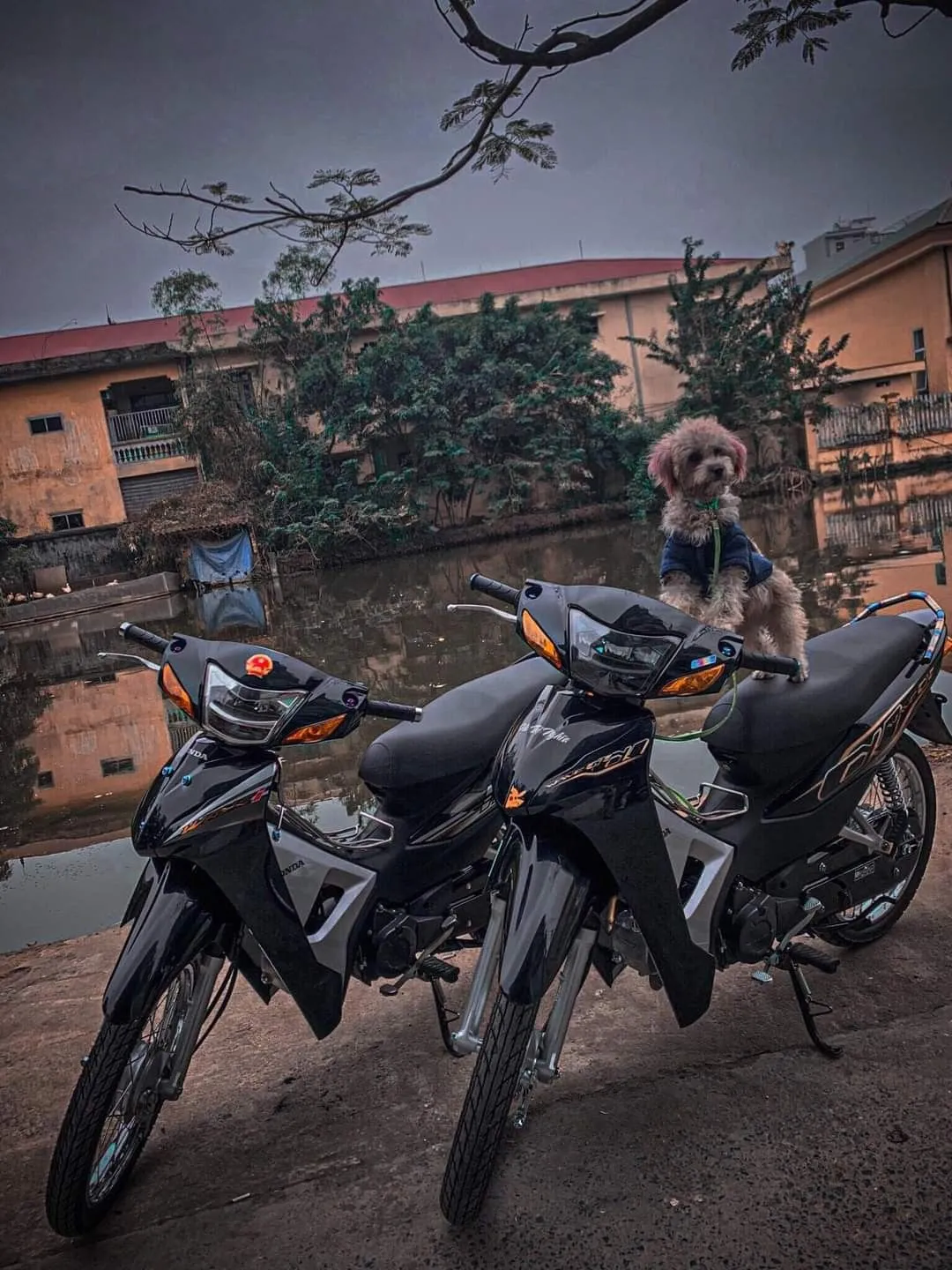 Ảnh xe Wave trắng độ đẹp với những phần độ tinh tế và cuốn hút