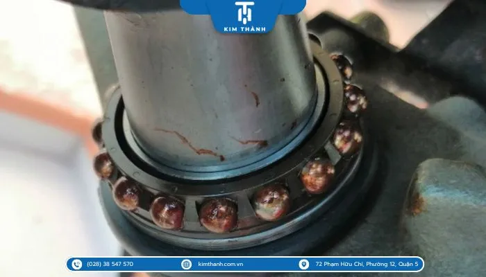 Bạc cổ biên bị mòn, lỏng