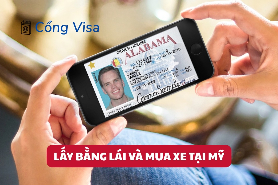 Hướng Dẫn Toàn Diện Mua Bán Xe Máy Cũ Giá Rẻ Tại Bình Dương Uy Tín Nhất