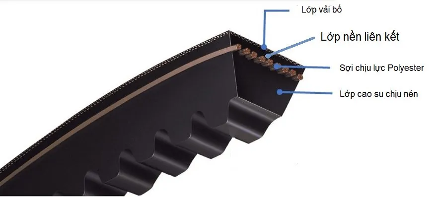 Các lớp vật liệu cấu tạo nên dây curoa SH 150