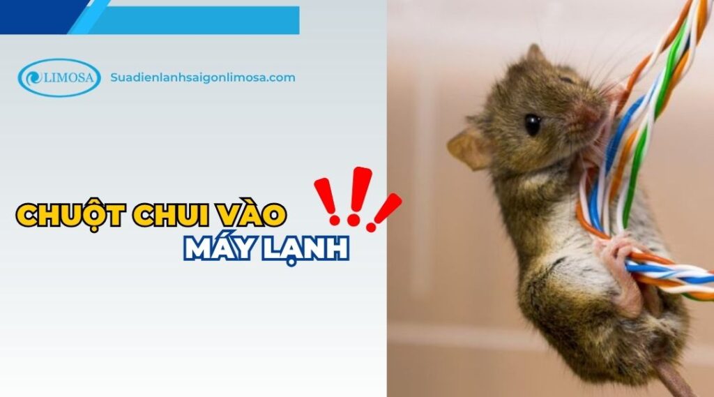 CÁCH KHẮC PHỤC CHUỘT CẮN DÂY ĐIỆN XE MÁY: QUY TRÌNH CHUẨN KỸ THUẬT VÀ GIẢI PHÁP PHÒNG NGỪA TOÀN DIỆN