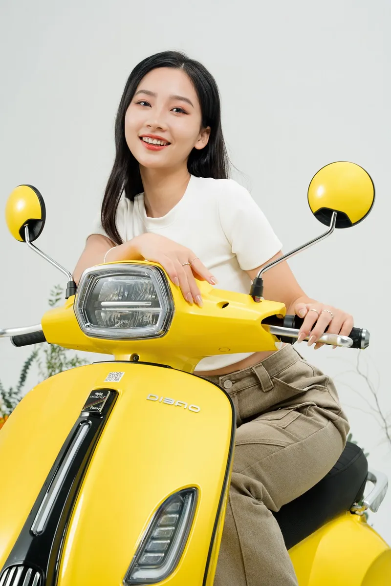 Bộ 5 ắc quy 20Ah chất lượng cao cung cấp năng lượng cho Dibao Tesla Chic Q