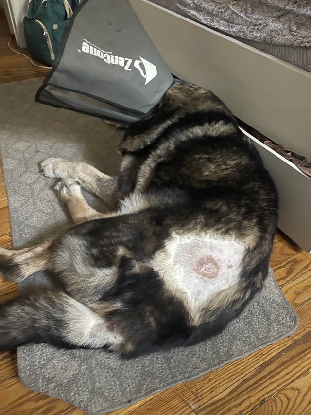 Cách Siết Chén Cổ Xe Máy Đúng Kỹ Thuật: Hướng Dẫn Chuyên Sâu Cho Thợ Xe 4 Cách Siết Chén Cổ Xe Máy Đúng Kỹ Thuật: Hướng Dẫn Chuyên Sâu Cho Thợ Xe