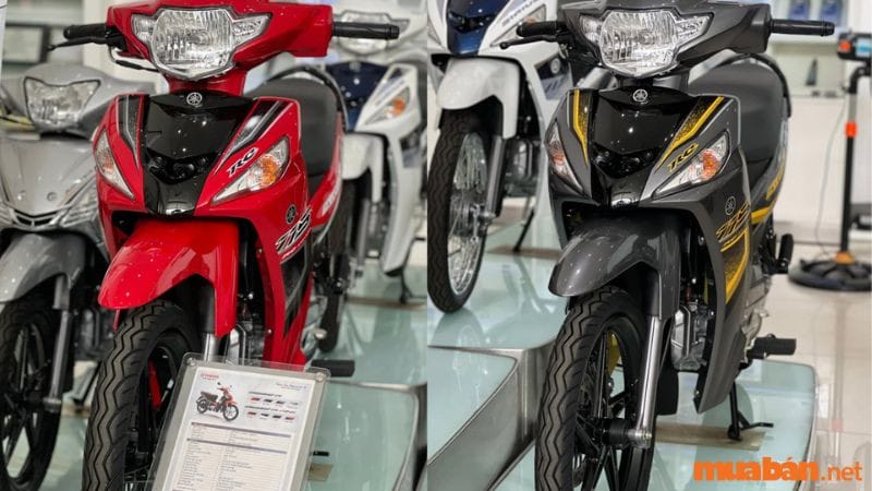 Đánh Giá Chuyên Sâu Tay Dắt Sau Chính Hãng Cho Xe Wave 110 2017 4 Đánh Giá Chuyên Sâu Tay Dắt Sau Chính Hãng Cho Xe Wave 110 2017