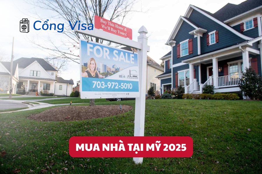 Mua Xe Tay Ga Cũ: Cẩm Nang Toàn Diện Đánh Giá Chất Lượng Và Giấy Tờ Pháp Lý