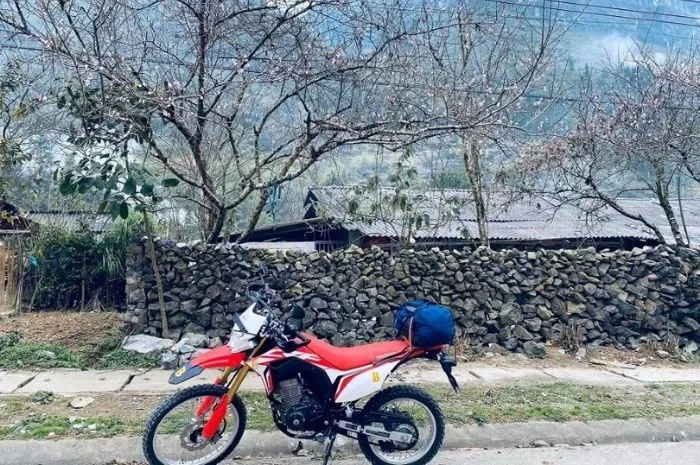 Một người đang kiểm tra chi tiết các giấy tờ xe máy và hợp đồng thuê xe