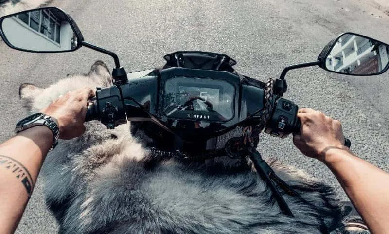 so odo chinh xac hien thi tren man hinh LCD cua xe may dien | theo doi so km tren xe may