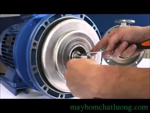 Hướng dẫn quy trình tháo phớt cơ khí cẩn thận khi thực hiện cách tháo máy bơm nước