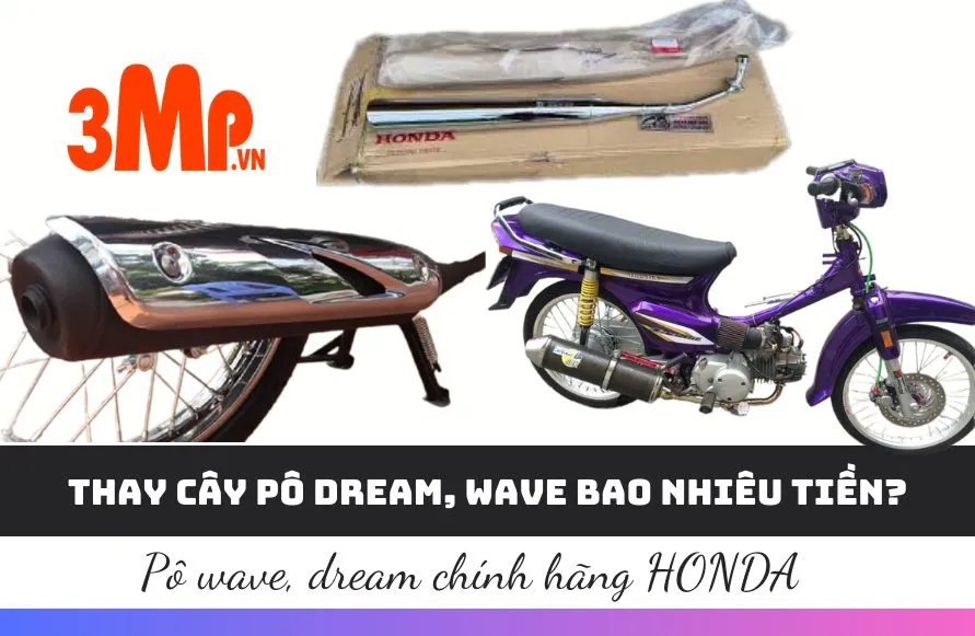 Cấu tạo chi tiết của pô xe Wave