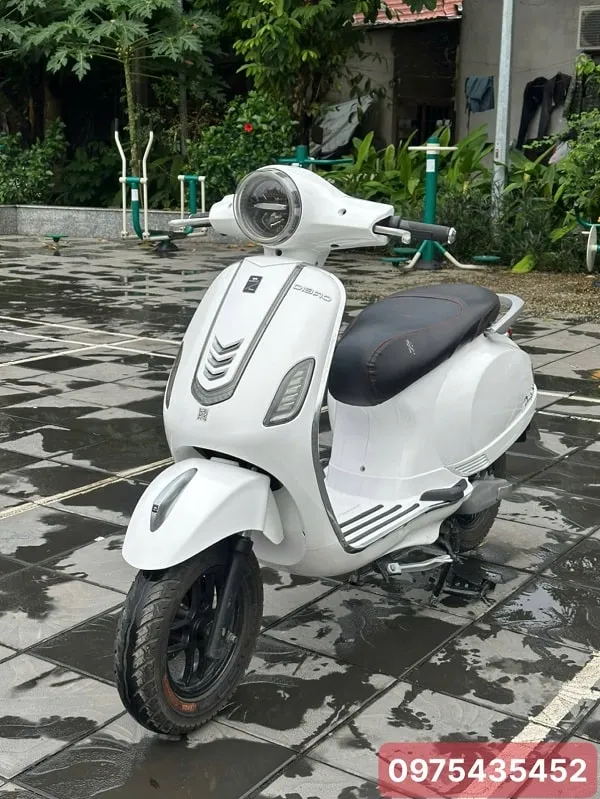 Xe Máy Điện Dibao Pansy S3 Cũ