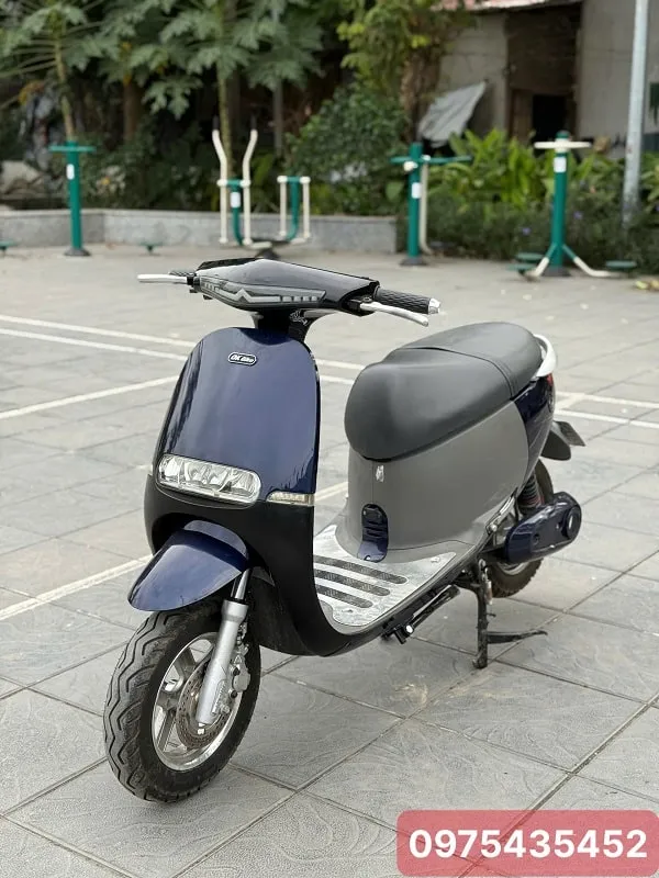 Xe Máy Điện Dk Gogo Cũ