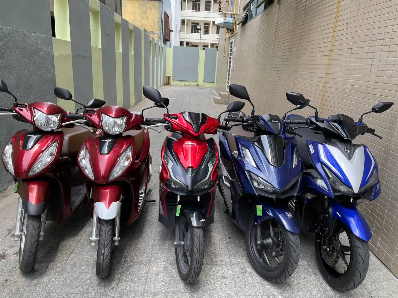 Một góc cửa hàng cho thuê xe, cho thấy không gian sạch sẽ và đội xe đa dạng