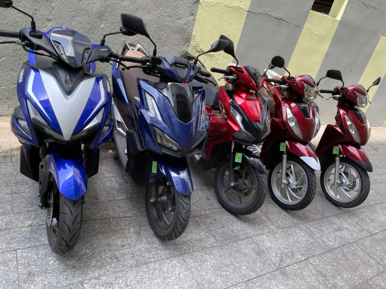 Xe máy được sắp xếp chuyên nghiệp, sẵn sàng cho thuê tại Nha Trang