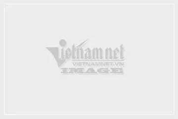 Cảnh báo và màn hình hướng dẫn các cú pháp tìm kiếm Google chuyên nghiệp