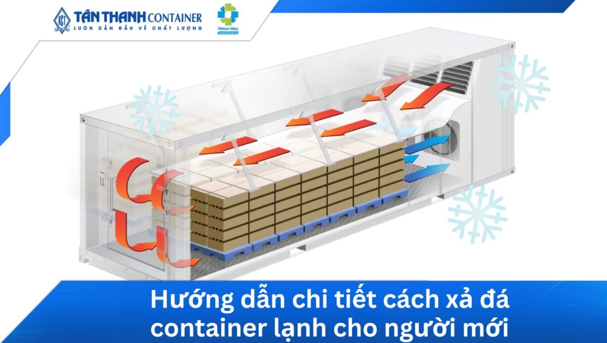Cách Dậm Số Xe Máy: Hướng Dẫn Chi Tiết Cho Người Mới Bắt Đầu