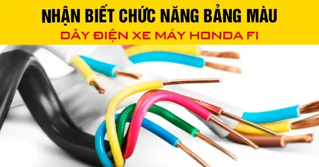 Ý Nghĩa Của Các Màu Dây Báo Số Xe Wave Trong Phong Thủy Và Văn Hóa Dân Gian