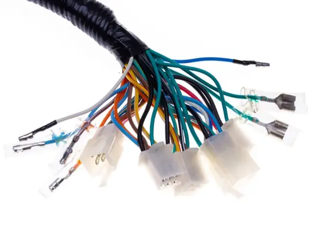 Ý Nghĩa Của Các Màu Dây Báo Số Xe Wave Trong Phong Thủy Và Văn Hóa Dân Gian