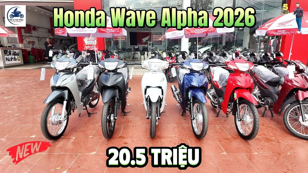 Xe Wave Alpha 50cc Chinh Hang Honda: Sự Thật, Giá 2026 Và Cách Chọn 2 Video báo giá và quan sát thực tế Honda Wave Alpha 110 2026