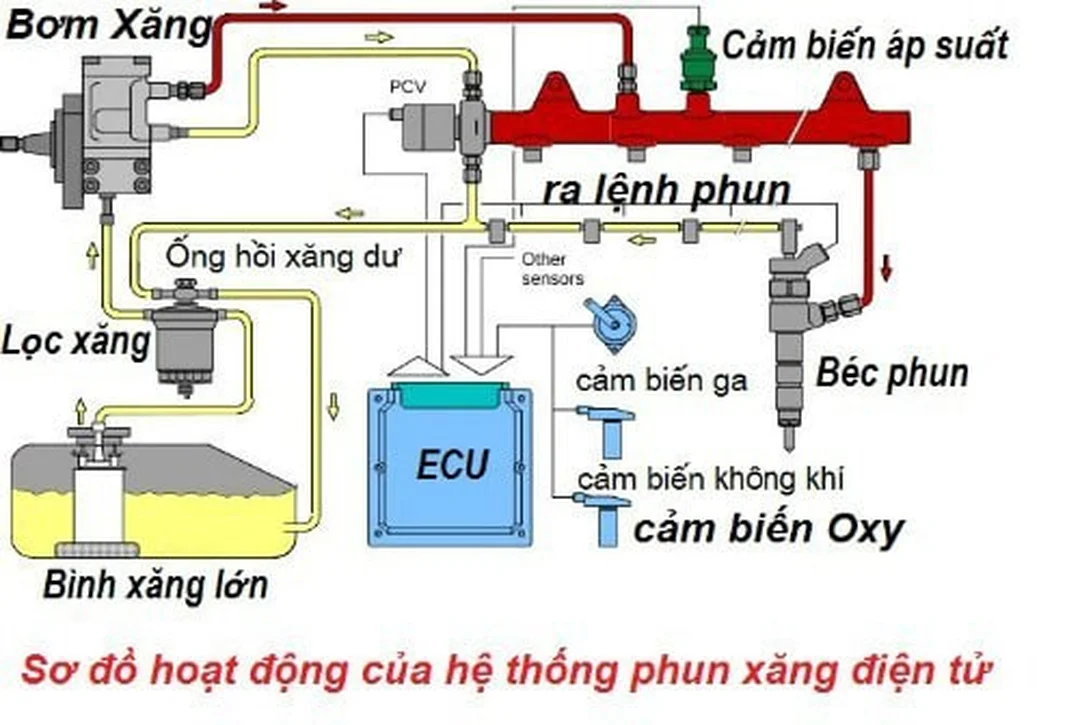 so do hoat dong cua phun xang dien tu